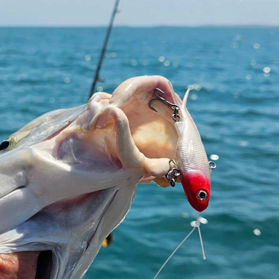 Playing card one